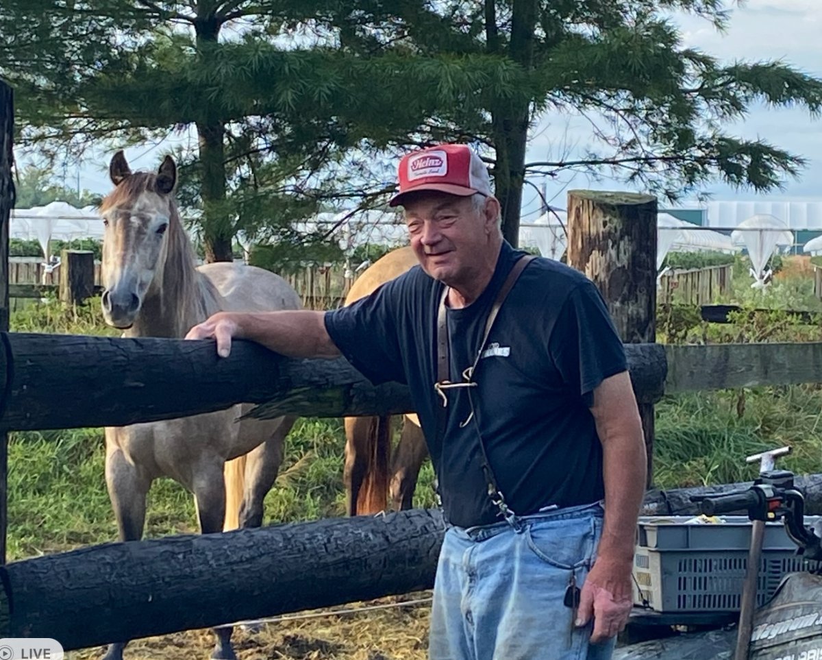 Photo of Alfonse Joseph "Joe" DeLellis