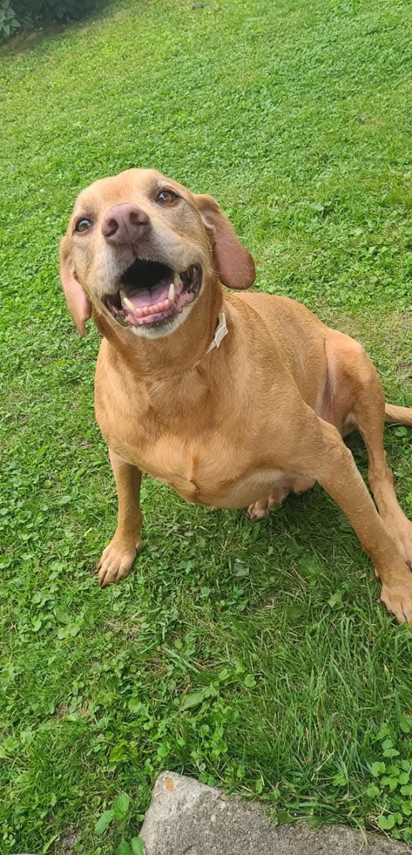 Photo of Thor Baby